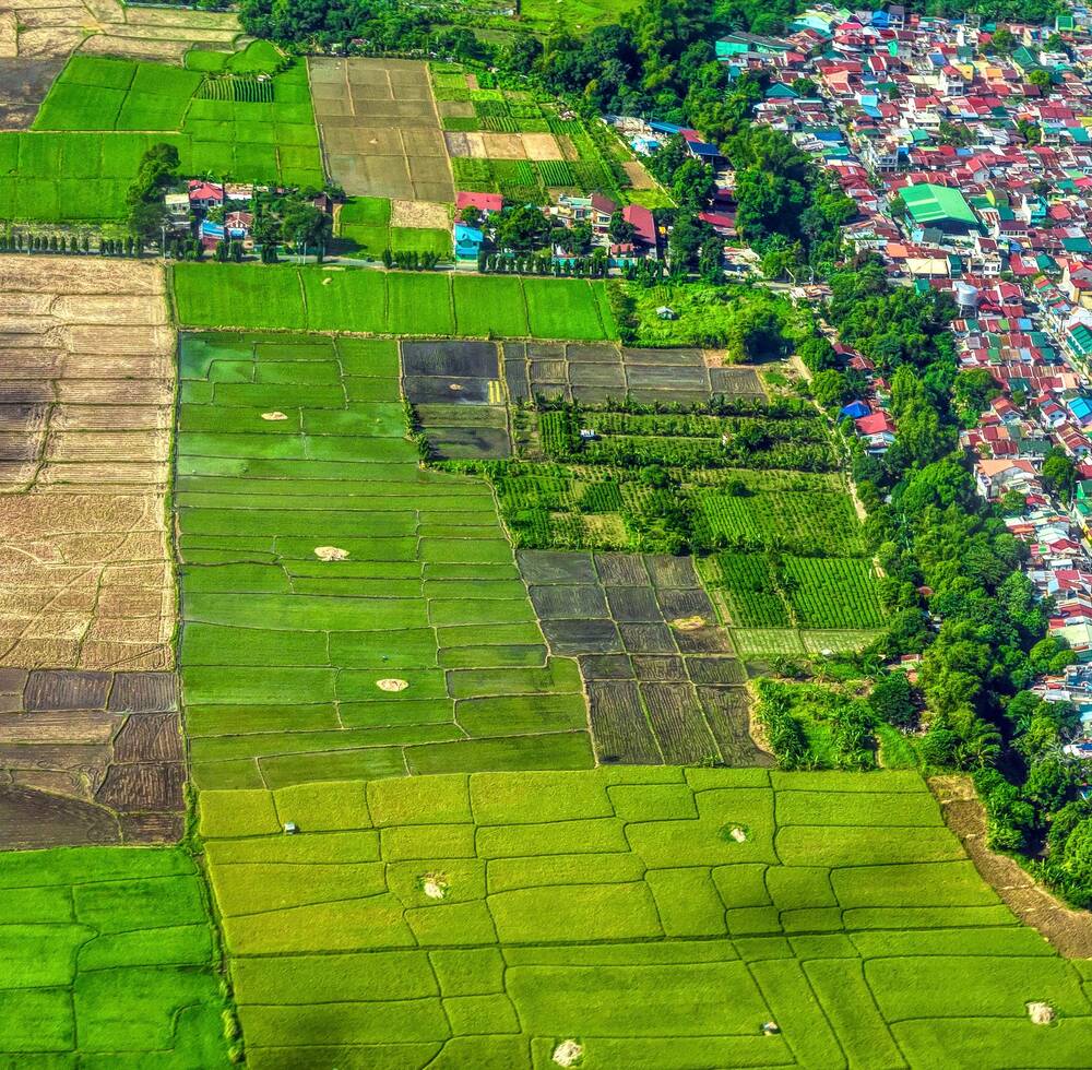 Green fields bordering a colourful town