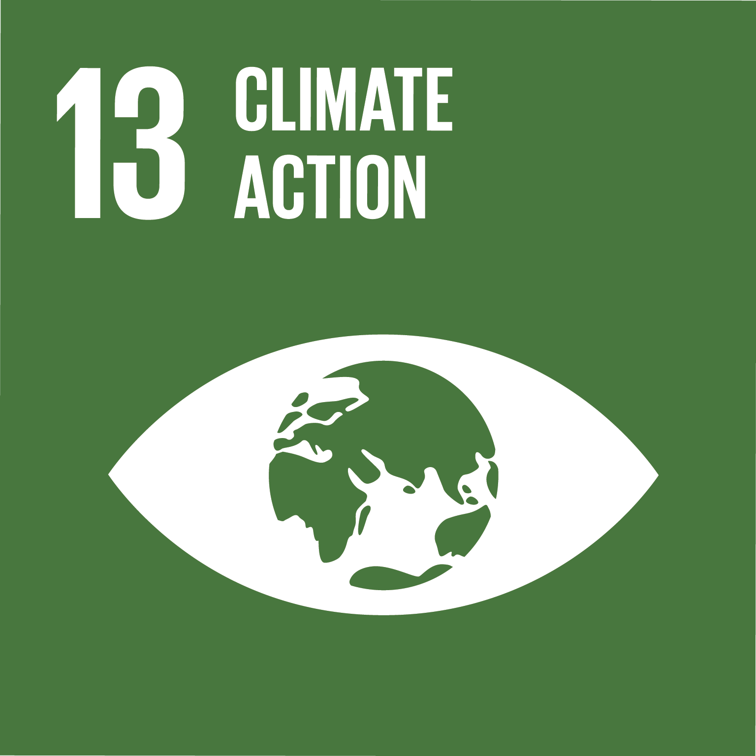 SDG 13 logo