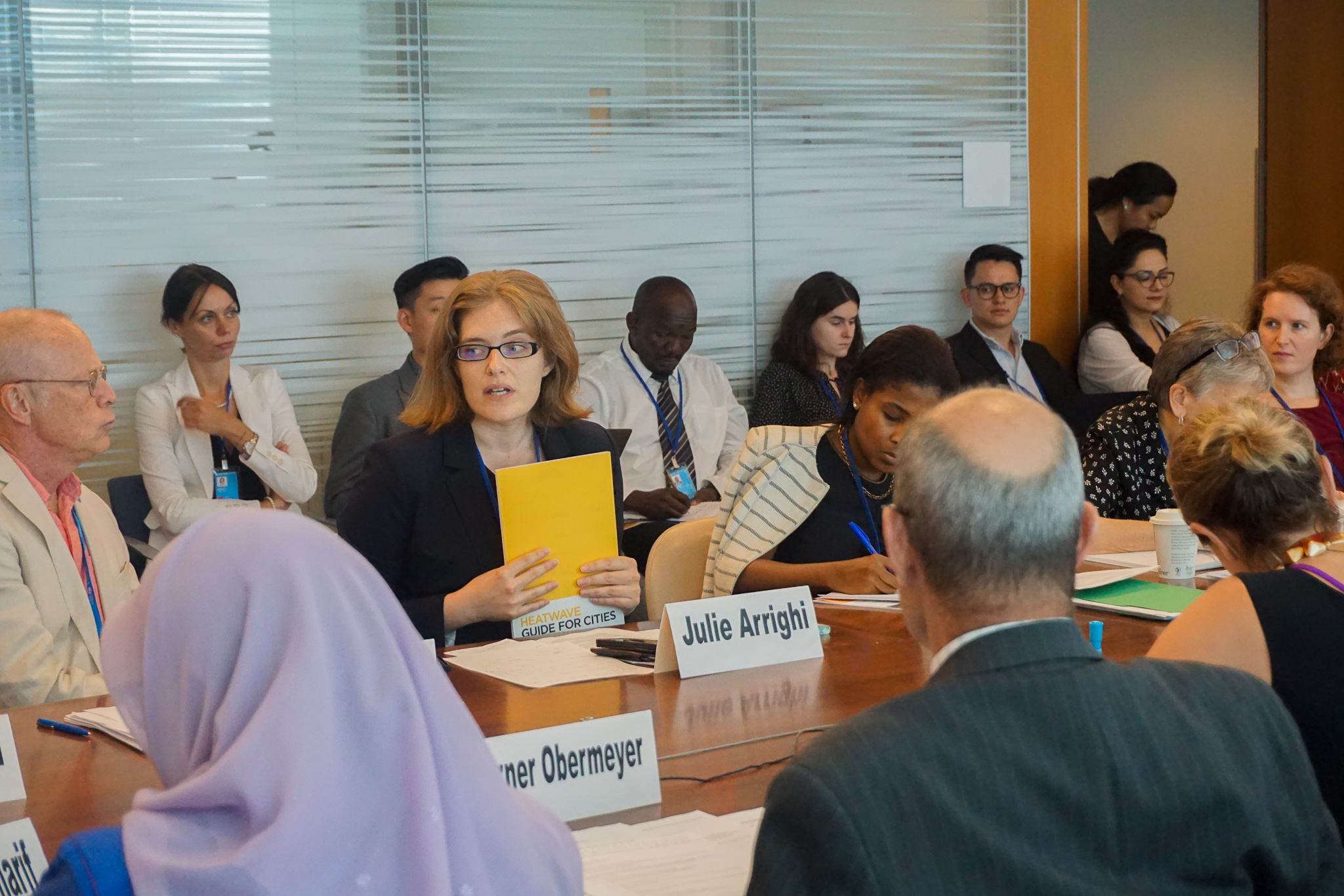 HLPF - Ms. Julie Arrighi, Red Cross Red Crescent Climate Expert, introduces the  Heatwave Guide for Cities during the Heatwaves Side Event, July 17th, 2019, New York
