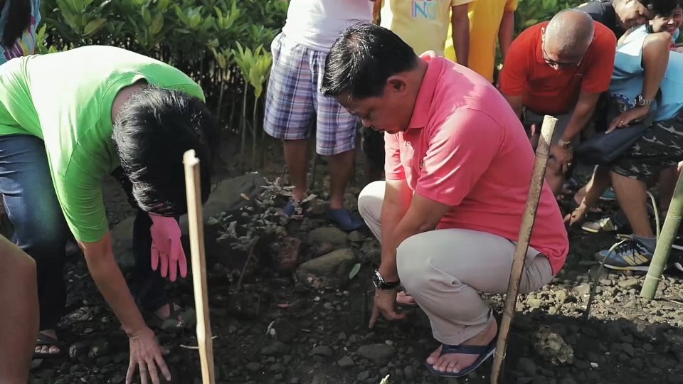 The mayor of Legazpi City, Philippines led a coastal cleanup and mangrove planting 