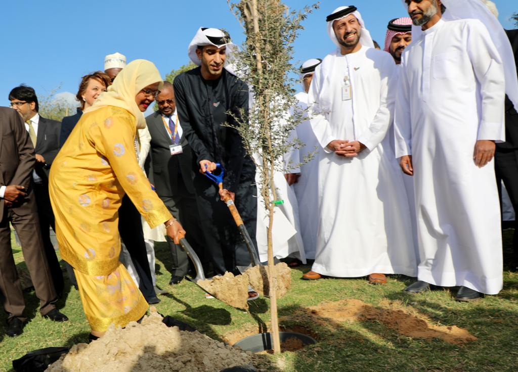 As a living legacy to WUF10 in Abu Dhabi, officials plant the evergreen Ghaf tree
