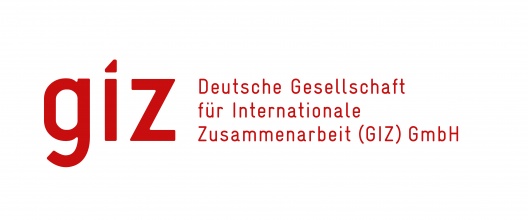 Deutsche Gesellschaft für Internationale Zusammenarbeit GmbH (GIZ)