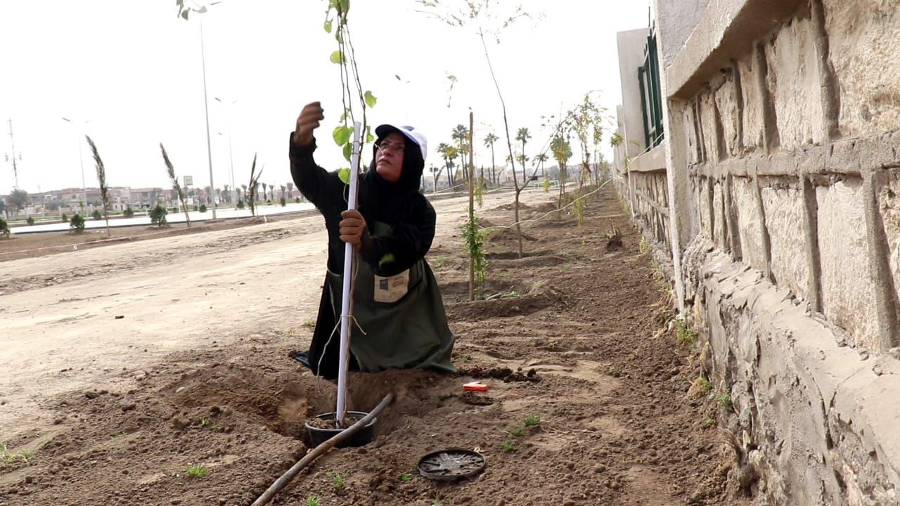 Mosul - Al Yarmouk Park: Ms Nafla the gardener