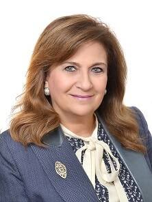 Dr. Sahar Attia, Professor of Architecture and Urban Design, Habitat UNI chairperson
