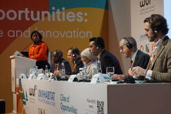 The Cities Investment Facility (CIF)