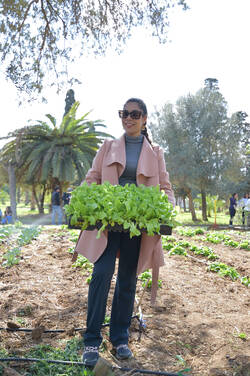 Siwar Arfaoui, one of the beneficiaries participating in planting an urban vegetable garden in Belvedere Park, in Tunis city.