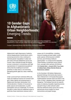 10 Gender Gaps in Afghanistan’s Urban Neighborhoods: Emerging Trends