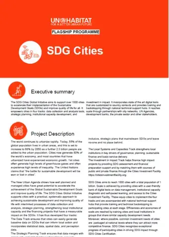 Flagship Programme 5: Sustainable Development Goals Cities