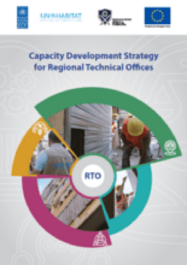 Capacity Development Strategy for Regional Technical Offices