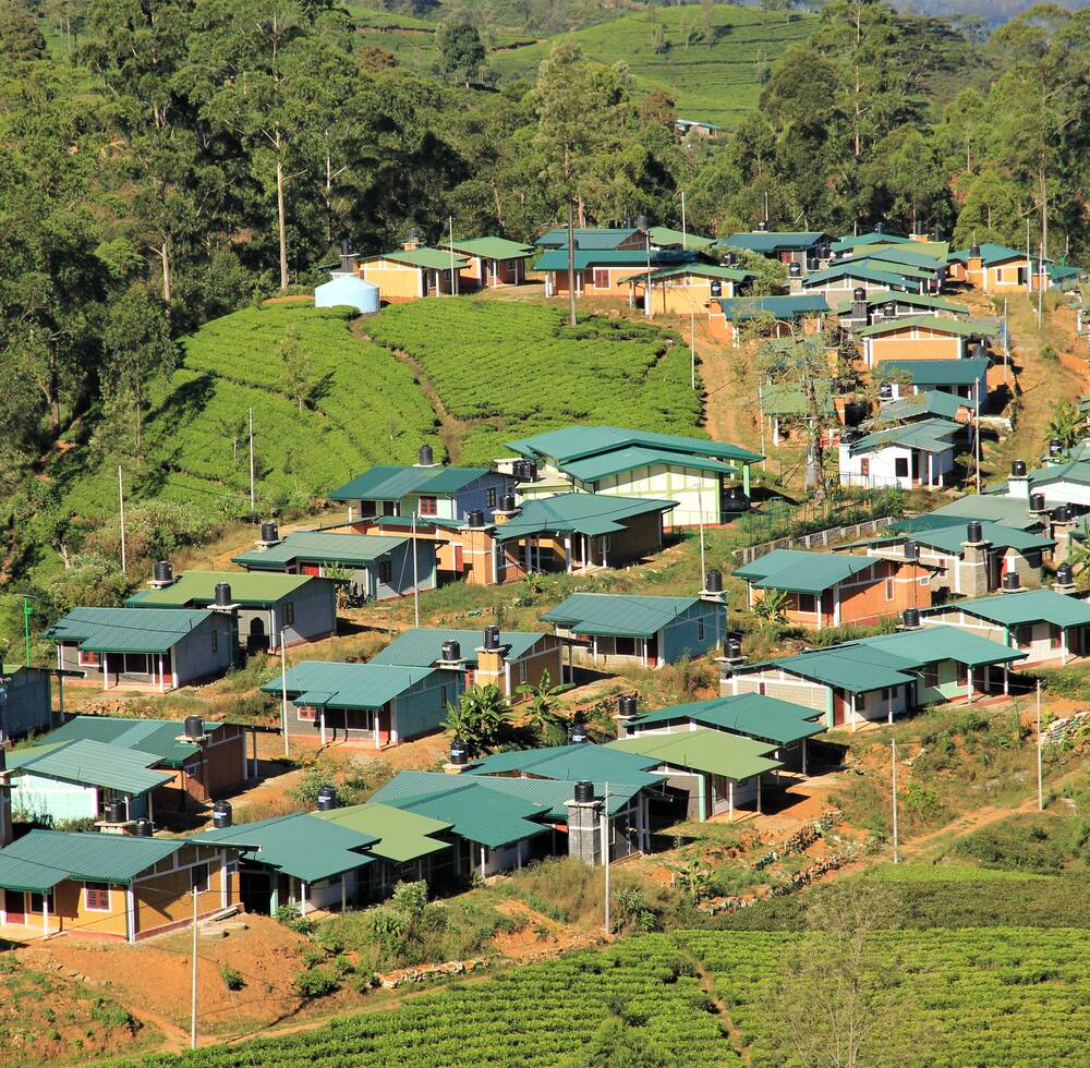 The new housing development in Nuwara Eliya plantation district, Sri Lanka.