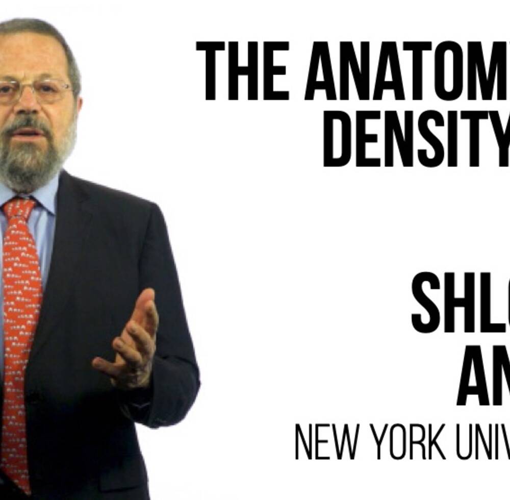 Fourth Global Urban Lecture 2020 - The Anatomy of Density