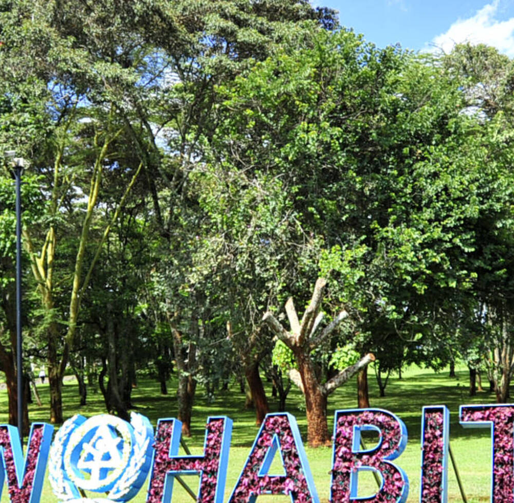 UN-Habitat holds second session of the Executive Board virtually