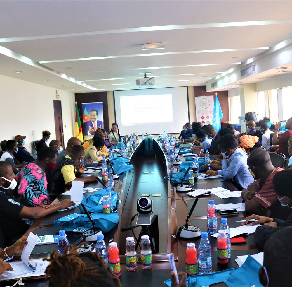 Cameroon hosts training workshop on data collection