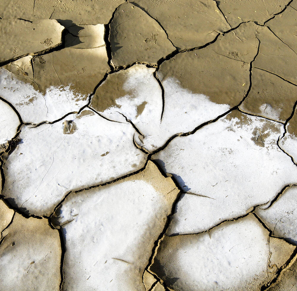 UN-Habitat, UNDP, FAO to launch Adaptation Fund Project to address climate change