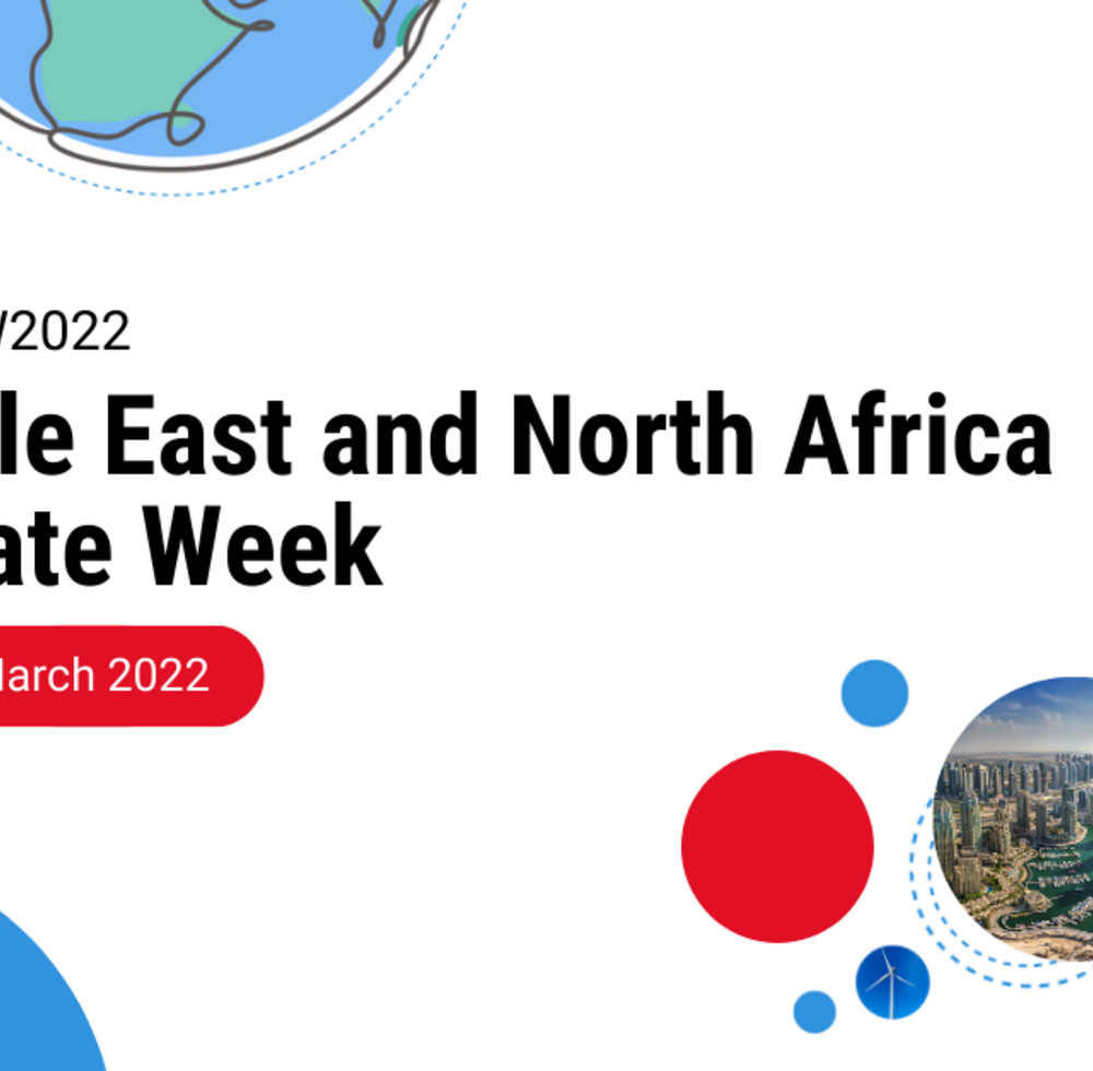 UN-Habitat, ICLEI discuss nature-based solutions during MENA Climate Week