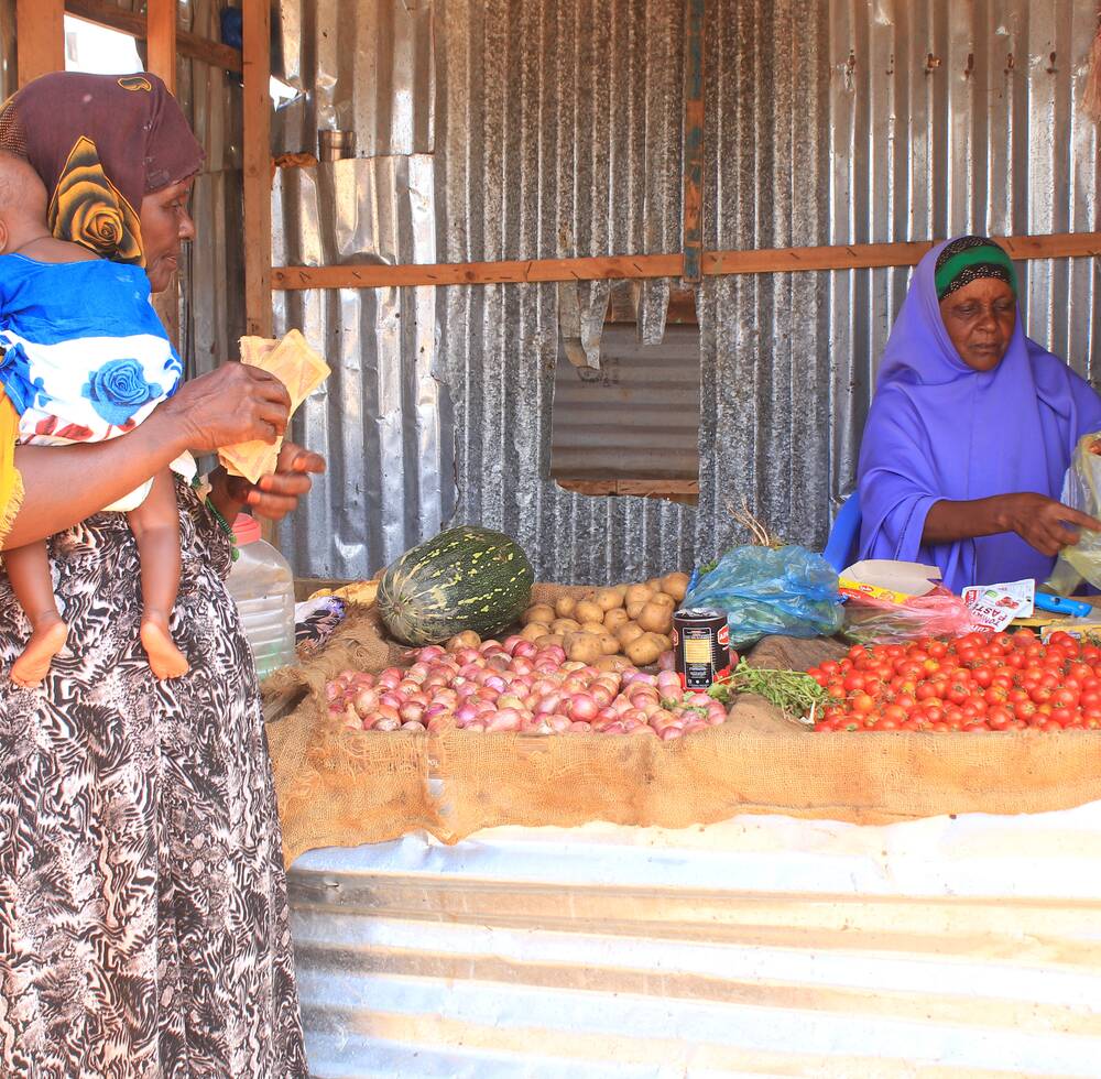 Over 1,300 Somali drought victims to benefit from cash transfers from UN-Habitat and Sweden