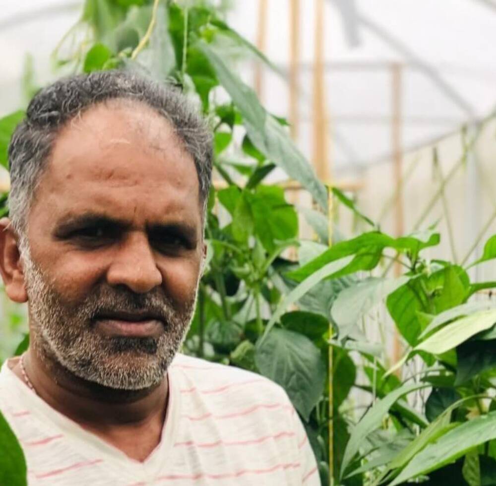 How a simple farming solution is strengthening livelihoods and essential services in Sri Lanka