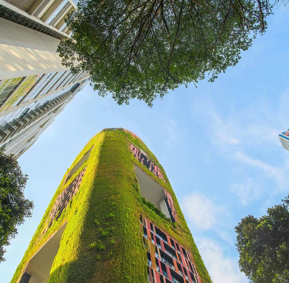 UN-Habitat at the 2025 United Nations Climate Change Conference (COP30)