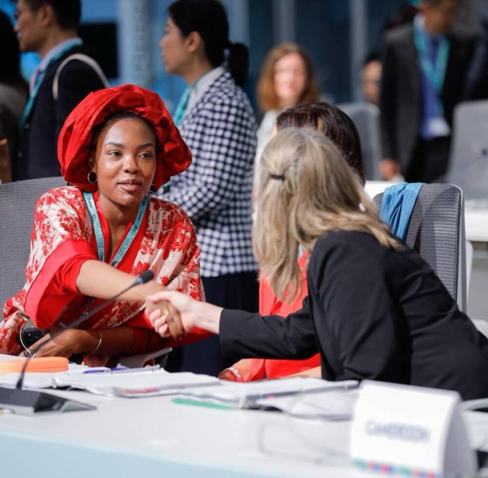 Member State representatives exchange greetings during the Ministerial Meeting on the New Urban Agenda at WUF13 in Baku. © UN-Habitat
