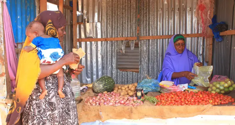 Over 1,300 Somali drought victims to benefit from cash transfers from UN-Habitat and Sweden