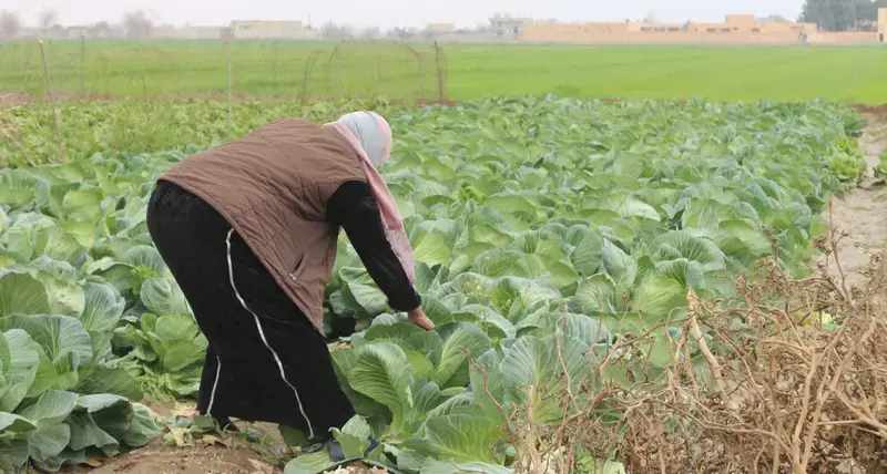 Italy contributes towards assisting the vulnerable and conflict affected Syrians