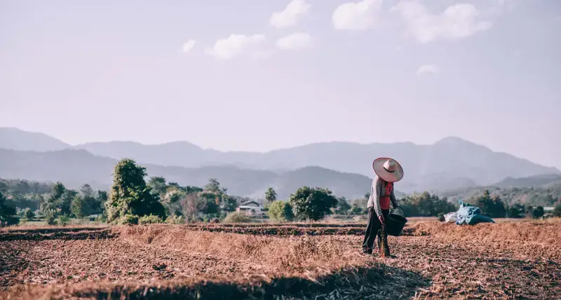 Women and land awareness campaign in the Arab region