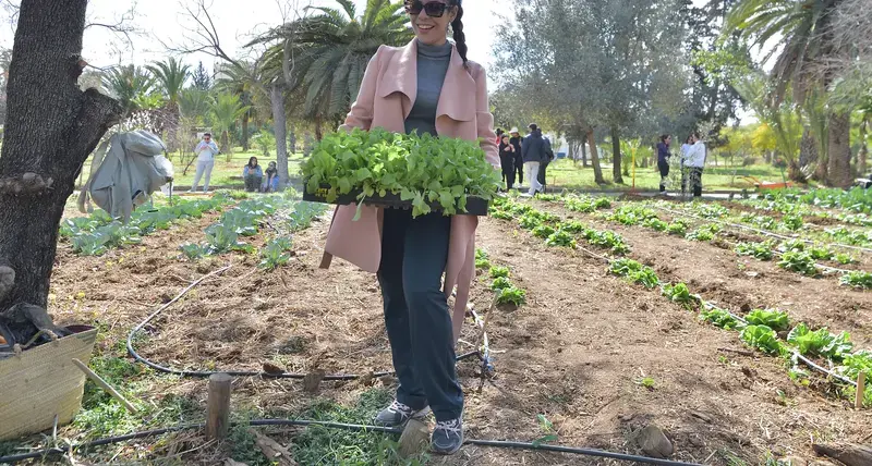 Addressing food security among Tunisia’s vulnerable grounds and migrants 