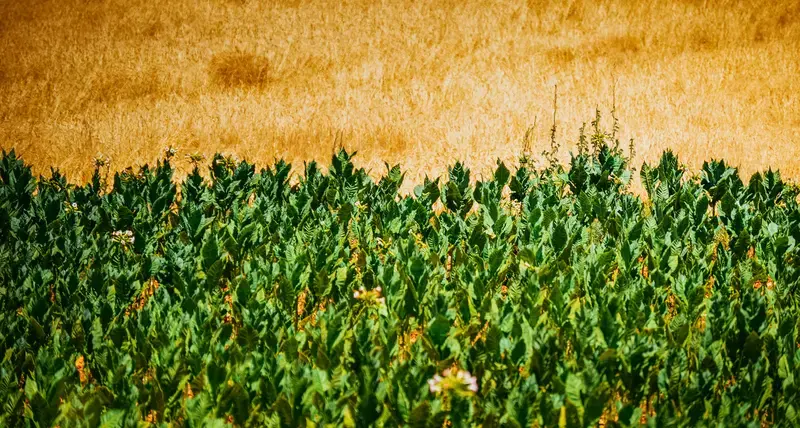 Unconventional water sources a way to fight water scarcity in Lebanon