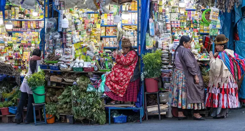 Bolivia launches national urban policy to transform its cities