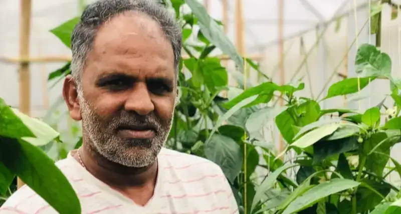 How a simple farming solution is strengthening livelihoods and essential services in Sri Lanka