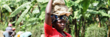 Gender Equality Network
