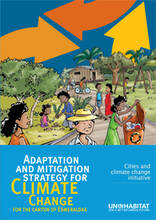 Adaptation and mitigation stra