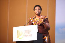 DED at World Cities Summit