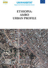 Ethiopia Ambo Urban Profile