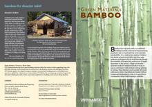 Bamboo