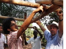 Bamboo a versatile building m