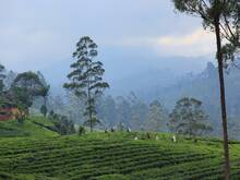 UN-Habitat launches Human Deve