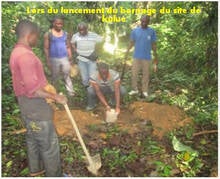 DRC2