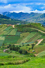 Land Tenure