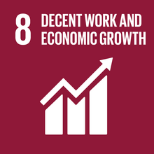 SDG8 Icon