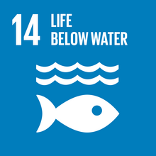 SDG 14 logo