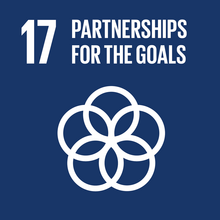 SDG 17 logo