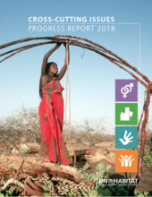Cross-cutting Issues Progress Report 2018