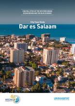 Coastal Cities of the Western Indian Ocean Region and the Blue Economy: City Case study, Dar es Salaam